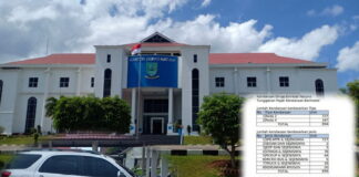 Ironis, 894 Unit Kenderaan Dinas Pemkab Natuna Nunggak Pajak