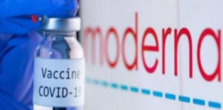 Tenaga Kesehatan Natuna Segera Disuntik Vaksin Moderna