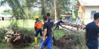 Pohon Timpa Rumah Warga, TRC PB Natuna Langsung Tanggap