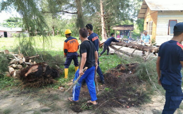 1628671393-picsay