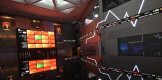 Diversifikasi Investasi Untuk Hasil Investasi yang Optimal