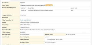 Tahun Ini Pemda Natuna Beli Dua Kenderaan Dinas Untuk Dokter Spesialis