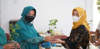 Bagikan 400 Bibit Cabe di Kecamatan Lingga Timur, Maratussholiha : Desa Harus Kreatif dan Berinovasi