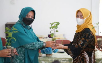 Bagikan 400 Bibit Cabe di Kecamatan Lingga Timur, Maratussholiha : Desa Harus Kreatif dan Berinovasi