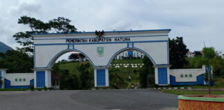 Waduh, Pembangunan Pagar Teralis Gerbang Kantor Bupati Natuna dan Taman Median Jalan Dua Jalur Bukit Arai Jadi Temuan BPK