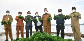 Pemprov Kepri Optimis Ekonomi Maritim Tumbuh