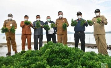 Pemprov Kepri Optimis Ekonomi Maritim Tumbuh
