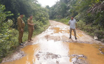Pemprov Kepri Anggarkan Rp9,6 Miliar Pembangunan Jalan Lingga Timur