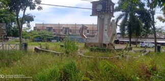 Di Duga Kurang Perawatan, Pasar Putri Agung Menggala di Penuhi Semak Belukar