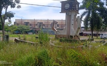 Di Duga Kurang Perawatan, Pasar Putri Agung Menggala di Penuhi Semak Belukar