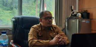 Pemkab Anambas Akan Bangun Jembatan Penghubung dari Palmatak ke Siantan Tengah