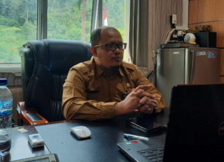 Pemkab Anambas Akan Bangun Jembatan Penghubung dari Palmatak ke Siantan Tengah