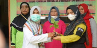 Ketua PKK Lingga Bagikan 370 Bibit Cabe di Desa Tajur Biru