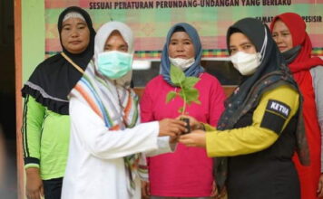 Ketua PKK Lingga Bagikan 370 Bibit Cabe di Desa Tajur Biru