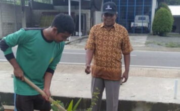 Penghijauan Kawasan Ronggo Lawe Banjar Agung, Pemkab Tuba Tanam 700 Batang Kelapa Hybrida