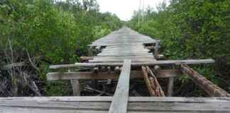 Tahun Ini, Pemkab Natuna Alokasi Rp350 Juta Perbaikan Jembatan Sei Setungkuk Desa Sedanau Timur