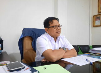 Dinas P3 Anambas Akan Salurkan Bibit Pala Untuk 100 Hektar Lahan Petani