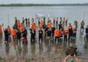 Peduli Lingkungan, KPP Natuna Tanam 100 Pohon Mangrove di HUT Basarnas Ke-50