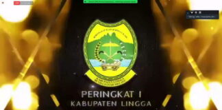 Lingga Terbaik Pertama se-Kepri, Penyaluran DAK Fisik Tahun 2021