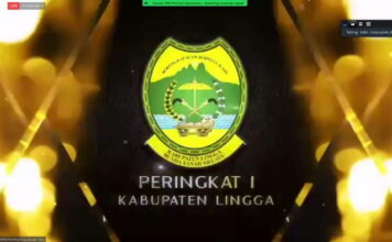 Lingga Terbaik Pertama se-Kepri, Penyaluran DAK Fisik Tahun 2021