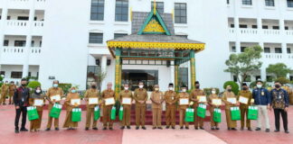 Gubernur Kepri Lepas 12 PNS Memasuki Batas Usia Pensiun