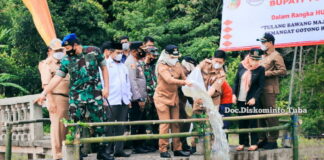 Bupati Winarti Tebar 50 Ribu Benih Ikan Tawar di Sungai Tulang Bawang