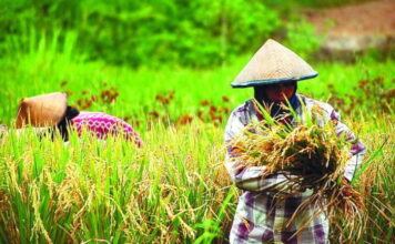 Pemkab Tubaba Luncurkan Dua Program Tani