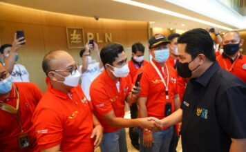 Tidak Hanya Kelistrikan, Erick Thohir Dorong PLN Perluas Lini Bisnis