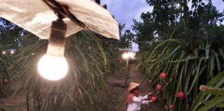 Sinyal Pemulihan Ekonomi, Konsumsi Listrik Nasional Naik 8,42 Persen pada Triwulan I 2022