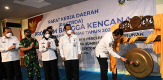 Rakerda Bangga Kencana Upaya Penurunan Stunting di Kepri