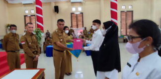 Bupati Natuna Wan Siswandi Serahkan SK 315 ASN dan P3K