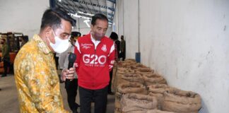 Presiden Jokowi Ingin Tingkatkan Ekspor Biji Pinang, PLN Siap Dukung dengan Listrik Andal