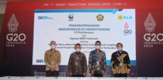 Kembangkan Energi Bersih Berkelanjutan, PLN Gandeng WWF