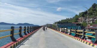 4 Perusahaan WNC Hibah Penerangan Lampu Jalan Untuk Anambas