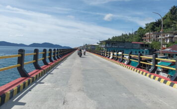 4 Perusahaan WNC Hibah Penerangan Lampu Jalan Untuk Anambas