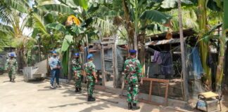 Denpom Lanal Ranai Gelar Operasi Penegakan Ketertiban Hewan Peliharaan