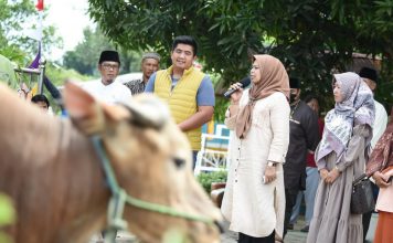 Dewi Ansar Kelilingi Pulau Bintan Serahkan Hewan Qurban