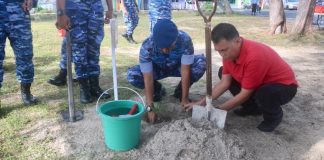 Hari Bakti TNI AU Ke-75, Danlanud RSA Tanam Pohon dan Baksos
