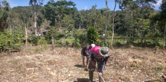 Anggota Kodim 0318/Natuna Manfaatkan Lahan Tidur Jadi Lahan Produktif