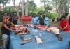 Polda Kepri dan Jajaran Sembelih 53 Ekor Sapi dan 37 Ekor Kambing di Hari Raya Idul Adha 1443 H