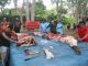 Polda Kepri dan Jajaran Sembelih 53 Ekor Sapi dan 37 Ekor Kambing di Hari Raya Idul Adha 1443 H