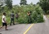 Koramil 07/Palmatak Bantu Bersihkan Pohon Tumbang Pasca Hujan Lebat dan Angin Kencang