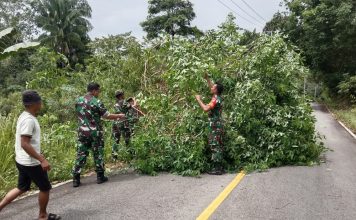 Koramil 07/Palmatak Bantu Bersihkan Pohon Tumbang Pasca Hujan Lebat dan Angin Kencang