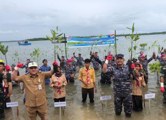 Sambut Hari Mangrove Sedunia, Lanal Ranai Tanam Mangrove di Penagi