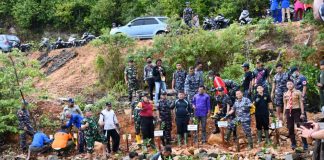 Peringati Hari Mangrove Sedunia, Lanal Tarempa Tanam Mangrove Serentak
