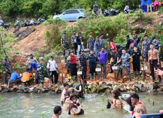 Peringati Hari Mangrove Sedunia, Lanal Tarempa Tanam Mangrove Serentak