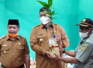 Bupati Anambas Buka Pelatihan Tematik Pekarangan Pangan Lestari