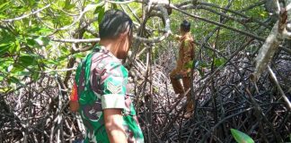 Mangrove di Desa Mamut Terancam Punah, Dapur Arang Tanpa Izin Diduga Jadi Penyebab