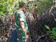 Mangrove di Desa Mamut Terancam Punah, Dapur Arang Tanpa Izin Diduga Jadi Penyebab
