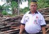 Pengusaha Dapur Arang Babat Kayu Bakau Hutan Lindung, Kades Mamut Marjono Angkat Bicara